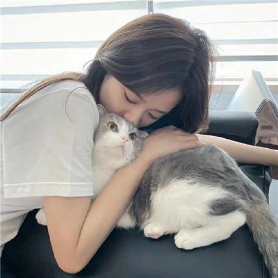 华丽的休假 海报